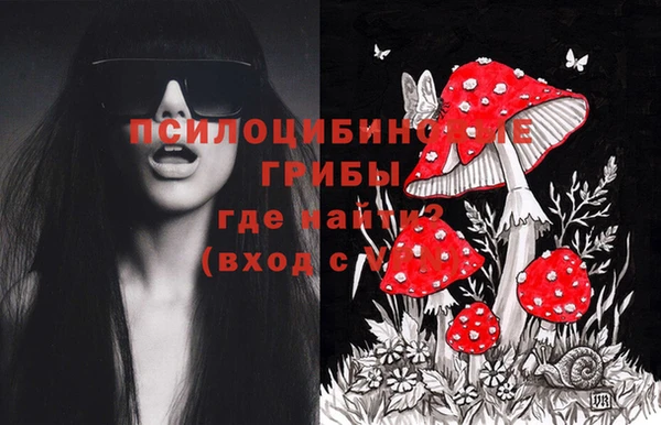 мяу мяу мука Алзамай