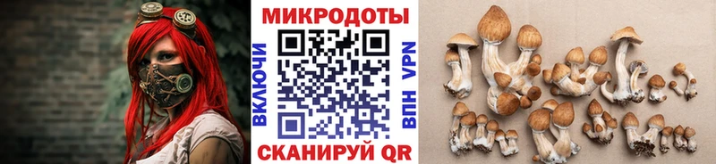 купить наркоту  darknet клад  Галлюциногенные грибы Cubensis  Щигры 